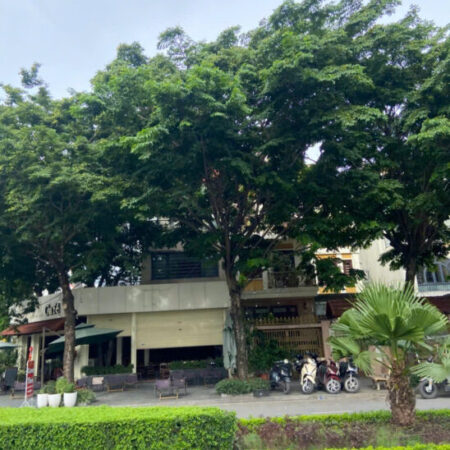Siêu phẩm biệt thự Sudico Mỹ Đình Đẳng cấp giới thượng lưu 200m² Mặt tiền 9m Giá 50 tỷ