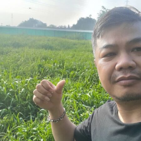 2592m2 có 26 tỷ x Nguyễn Thị Điệp Đông Thạnh Hóc Môn TP. Hồ Chí Minh 2592m2 có 26 tỷ x Nguyễn Thị Điệp Đông Thạnh Hóc Môn TP. Hồ Chí Minh