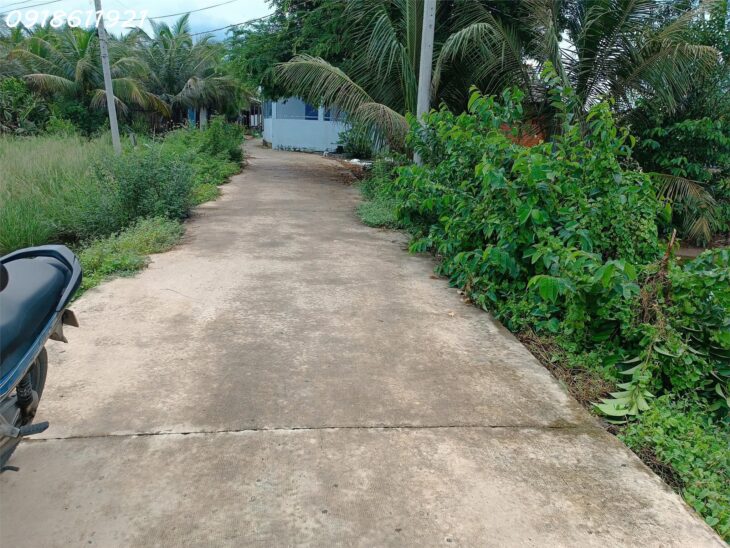 Đất thổ cư chính chủ 5x24m – giá mềm cho người thật việc thật