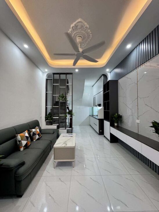 Nhà Trương Định Dân Xây Độc Lập 10m Ra Ô Tô Nhỉnh 5 Tỷ