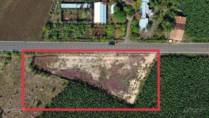 Chính chủ gửi bán đất Long Tân đẹp, rẻ, sổ riêng, ngay khu công nghiệp Đá Bạc