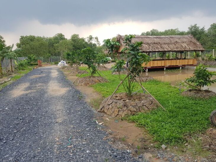 Bán Gấp 1000m2 Đất Vườn Giá 210 Triệu Liên Hệ 0706320631 gặp A An