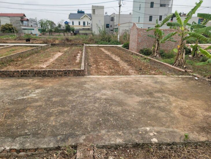2 MẶT TIỀN 58M TỔ 10 QUANG MINH,HÀNG F0 GIÁ ĐẦU TƯ,IB CHÍNH CHỦ