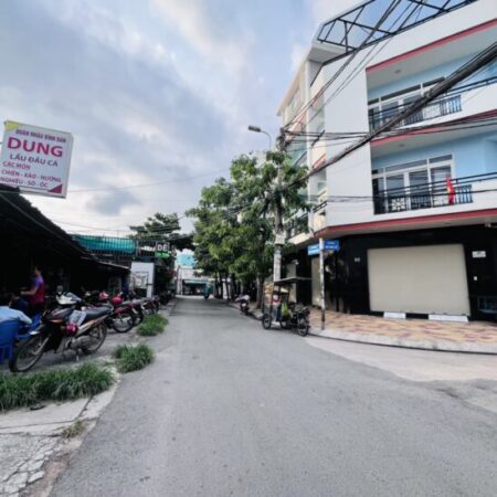 BIỆT THỰ XANH TRỊNH QUANG NGHỊ – DIỆN TÍCH KHỦNG 120M² – GIÁ 24 TỶ