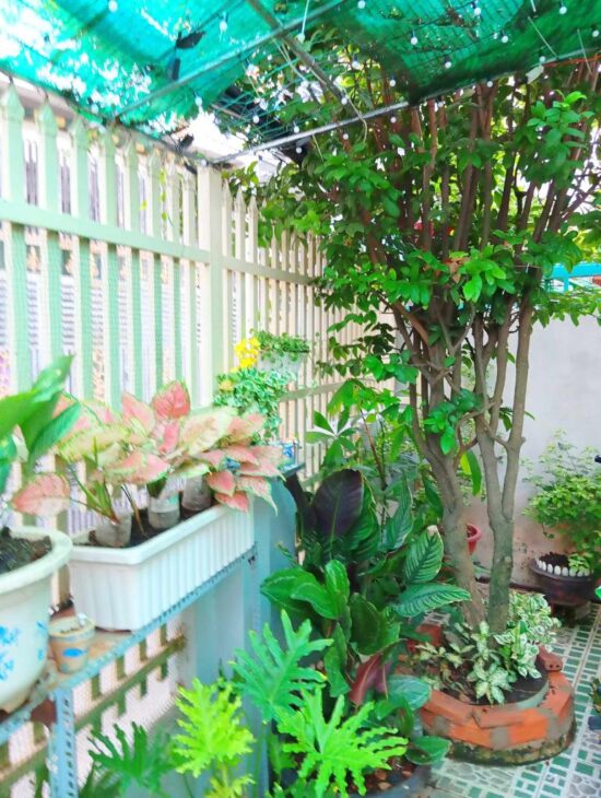 HOT, CẦN TIỀN BÁN RẤT GẤP NHÀ, BÌNH ĐỨC [P15, Q8] DT: 75M2 (6X 13M) 2PN, 2WC, CHỈ 3.8 TỶ