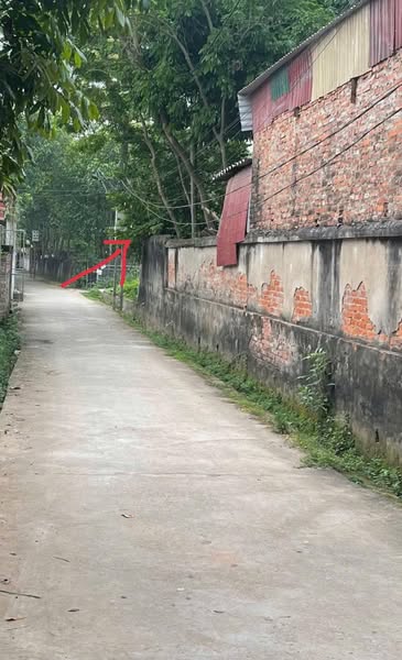 CHÍNH CHỦ BÁN 46,2M² ĐẤT ĐẸP – OTO VÀO NHÀ – CÁCH TRỤC CHÍNH 20M TẠI TAM THUẤN, PHÚC THỌ, HÀ NỘI