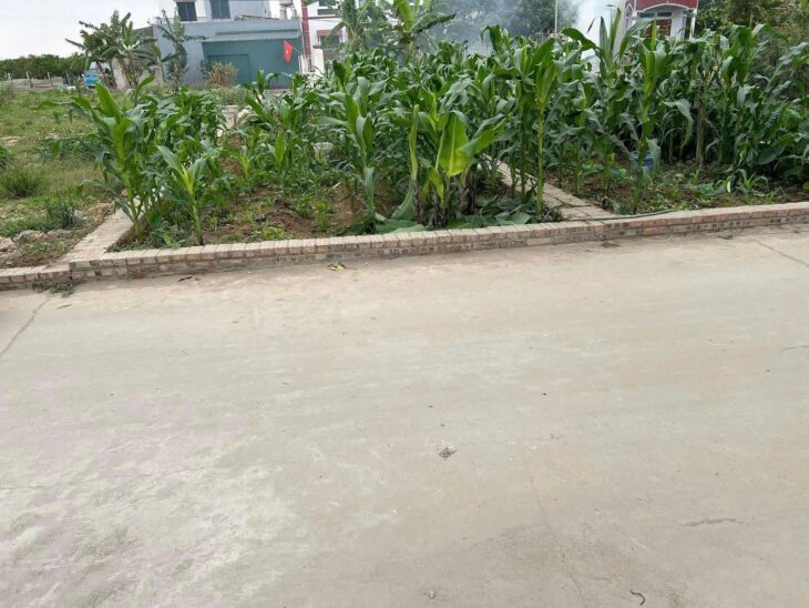 62M TỔ 10 TT QUANG MINH,TRỤC CHÍNH KINH DOANH,Ô TÔ TRÁNH,GIÁ F0 ĐẦU TƯ, HÀNG MỚI,LH CHÍNH CHỦ