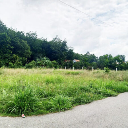 Đất góc 2 mặt tiền đường nhựa – 964m2 – 21×49 – 600m2 thổ cư – xã Phú Hòa Đông – Củ Chi