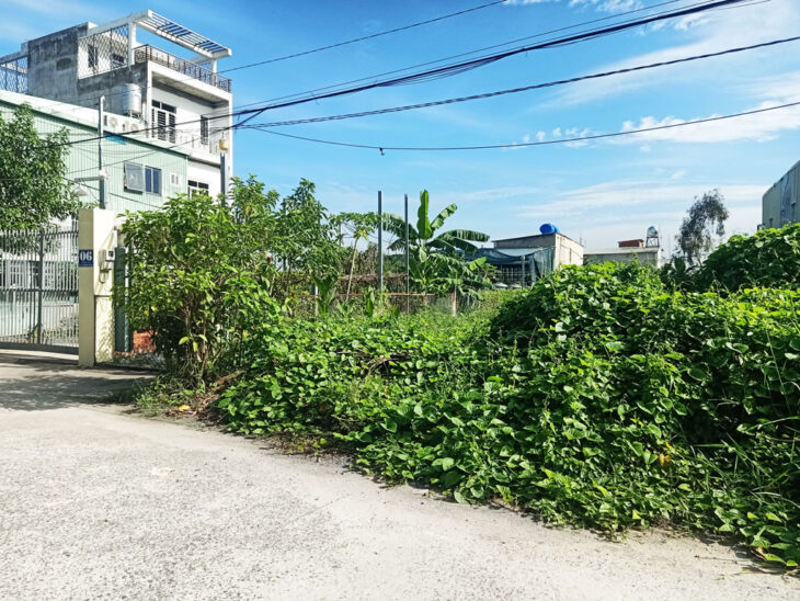 Bán đất đường 155 – 549m2 – 11×55 – 100m2 thổ cư – xã Bình Mỹ – Củ Chi