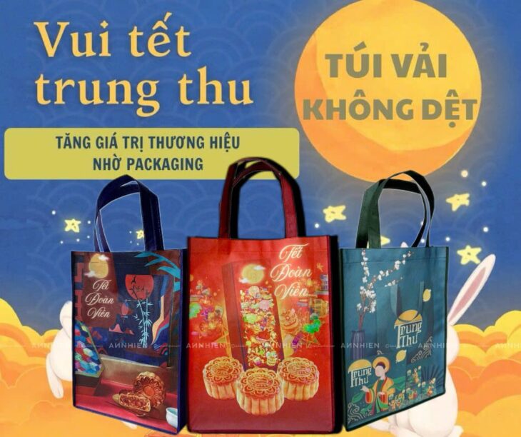 In túi vải không dệt tại Vĩnh Long