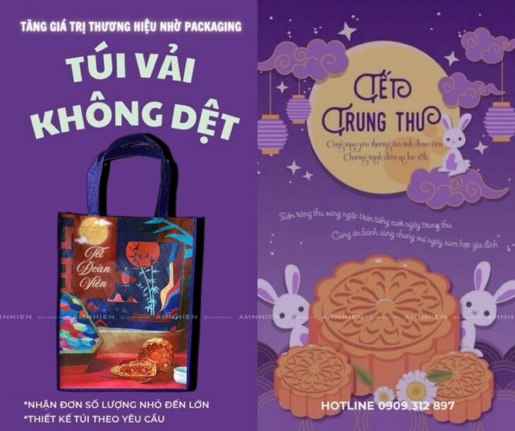 In túi vải không dệt tại Vĩnh Long
