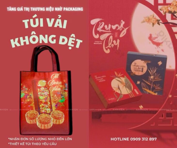 In túi vải không dệt tại Vĩnh Long