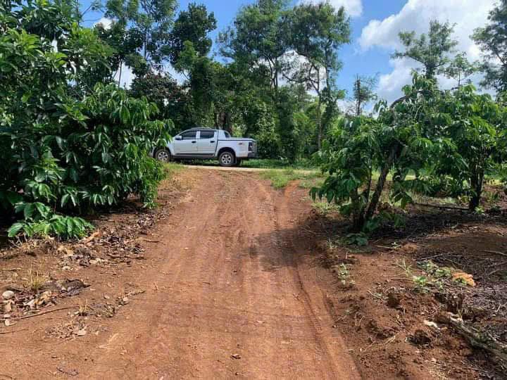 Bán 3.000m2 cạnh đường 29 thị xã Buôn Hồ. Giá; 900tr. Lh 0918.76.9977