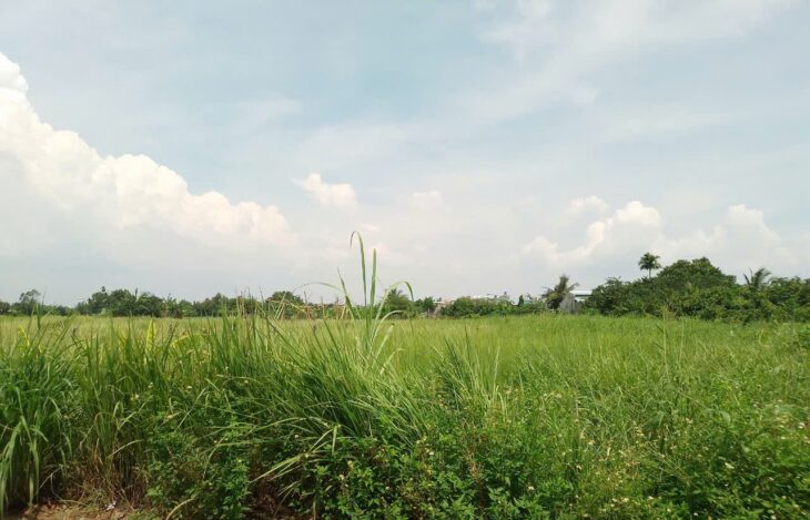 2592m2 có 26 tỷ x Nguyễn Thị Điệp Đông Thạnh Hóc Môn TP. Hồ Chí Minh