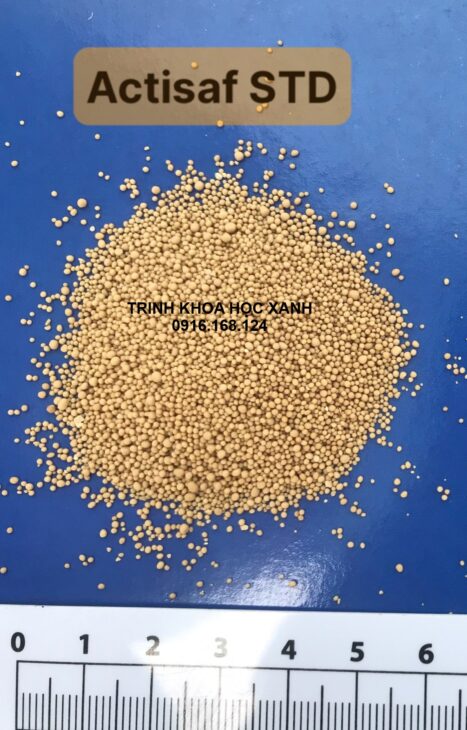 ACTISAF – Men vi sinh đường ruột Saccharomyces đậm đặc