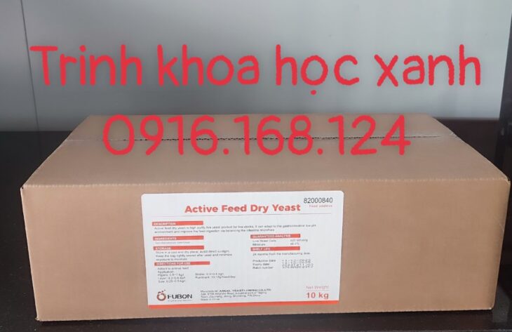 ACTIVE FEED FRY YEAST – Nấm men đậm đặc