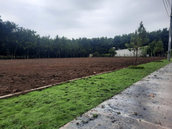 Sở Hữu Ngay Đất Đẹp Tại An Linh!