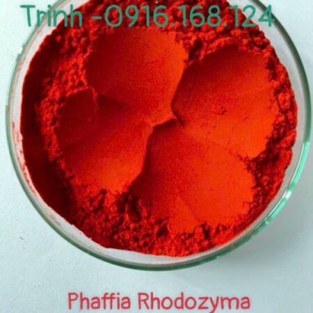 Astaxanthin – PHAFFIA RHODOZYMA