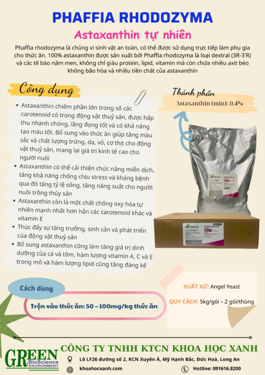 Astaxanthin – PHAFFIA RHODOZYMA