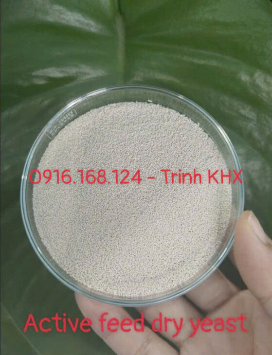 ACTIVE FEED FRY YEAST – Nấm men đậm đặc