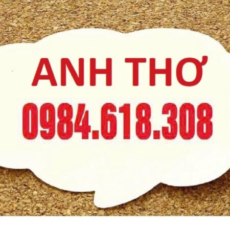 Bán biệt thự Mỹ Đình – Nam Từ Liêm giá rẻ 194m2 mặt tiền 9m đường ô tô tránh