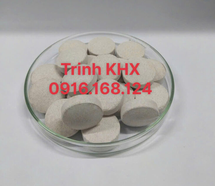 Vi sinh dạng viên nén, chuyên xử lý nước và đáy ao – BIO TAB