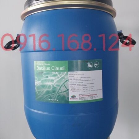 BACILLUS CLAUSII -Vi sinh xử lý nước, hỗ trợ đường ruột cho tôm/cá