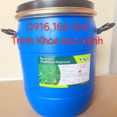 CLOSTRIDIUM BUTYRICUM