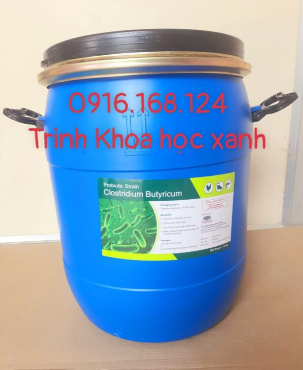 CLOSTRIDIUM BUTYRICUM