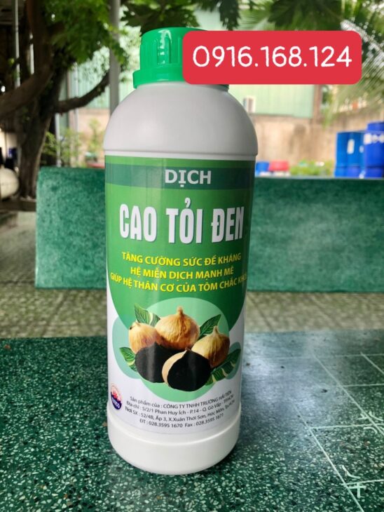 DỊCH CAO TỎI ĐEN – Kháng sinh tự nhiên cho tôm