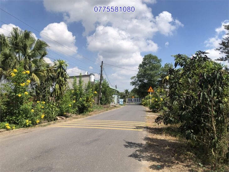 ???? Bán đất thổ cư An Viễn, giá mềm 9,56 triệu/m², gần KCN Giang Điền