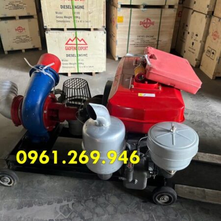 Máy Bơm Nước Động Cơ Dầu Diesel D24 đầu bơm 150mm