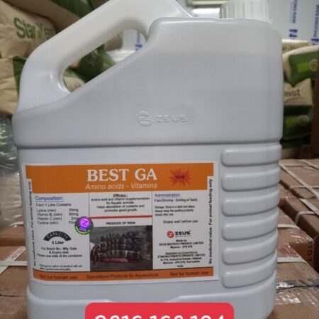 BEST GA – Bổ gan thảo dược dạng nước