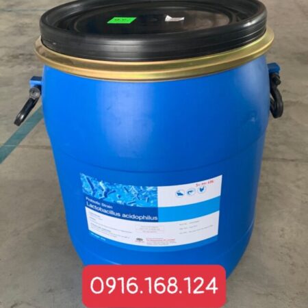 LACTOBACILLUS ACIDOPHILUS 1BN