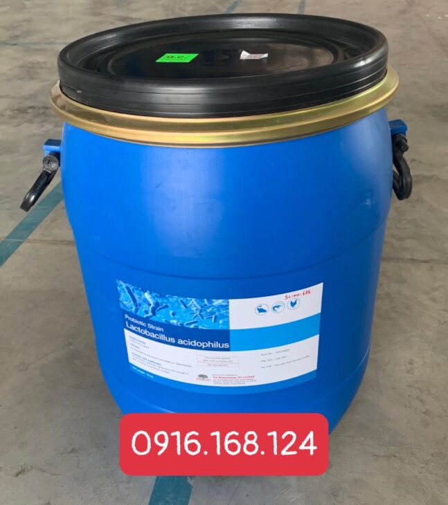 LACTOBACILLUS ACIDOPHILUS 1BN – men vi sinh đường ruột vật nuôi, tôm/cá xuất xứ ẤN ĐỘ