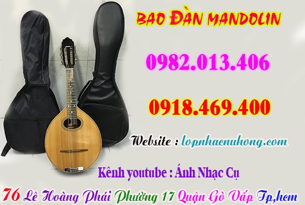 Mua bao ( túi ) đàn mandolin tại gò vấp