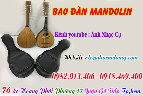 Mua bao ( túi ) đàn mandolin tại gò vấp