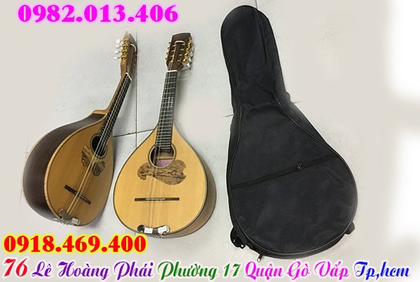 Mua bao ( túi ) đàn mandolin tại gò vấp