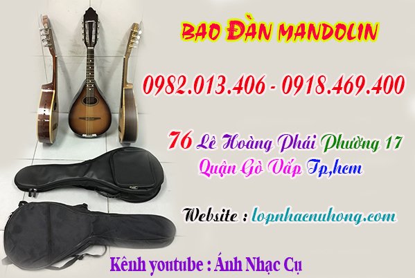 Mua bao ( túi ) đàn mandolin tại gò vấp