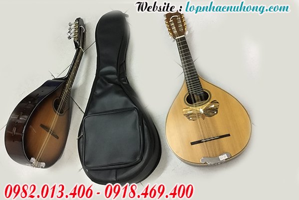Mua bao ( túi ) đàn mandolin tại gò vấp