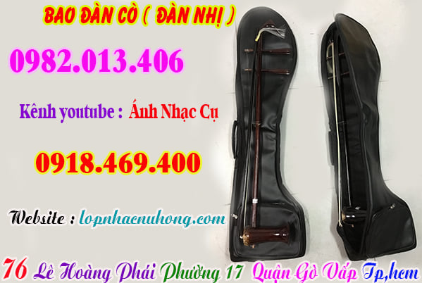 Mua bao / túi đàn hồ, đàn cò ( đàn nhị ), đàn gáo tại gò vấp