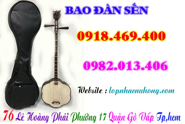 Mua bao đàn sến tại gò vấp