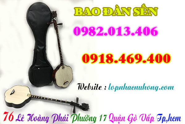 Mua bao đàn sến tại gò vấp