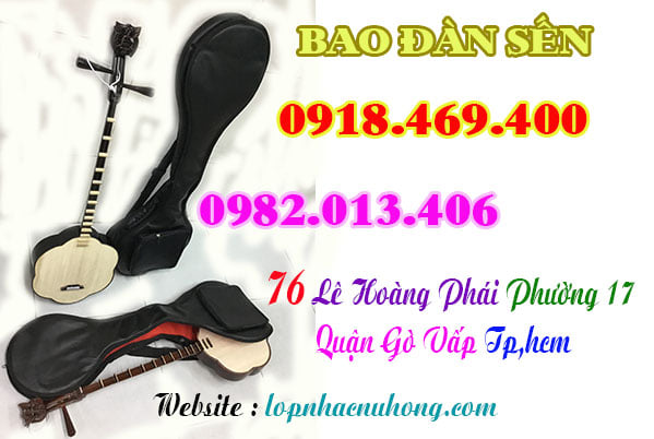 Mua bao đàn sến tại gò vấp