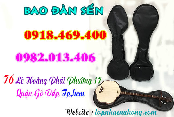 Mua bao đàn sến tại gò vấp