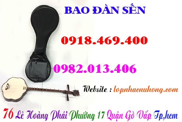 Mua bao đàn sến tại gò vấp