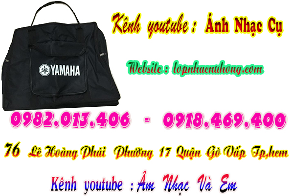 Mua bao trống điện tử tại gò vấp, tphcm