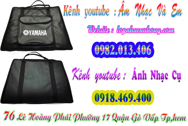 Mua bao trống điện tử tại gò vấp, tphcm