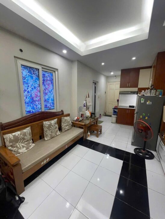 Cho thuê căn hộ chung cư 91 Võ Thị Sáu, 52m2 x 2 ngủ, Full đồ, 8 Triệu ở hộ gia đình