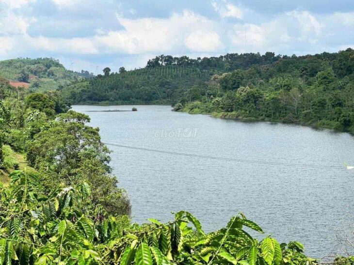 Bán Vườn Thuận An Bám đập cách tỉnh lộ 683 nhựa 300m, đã tách 5 sổ sẵn
